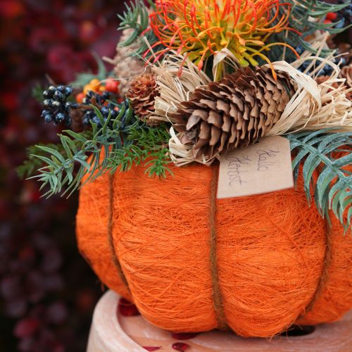 Prodotto Vaso per piante decorazione zucca arancione/giallo-verde sisal Ø21cm H12cm