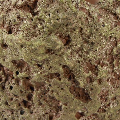Prodotto Vaso per piante fioriera dall'aspetto rustico della foresta Ø12,5 cm A12 cm 6 pezzi