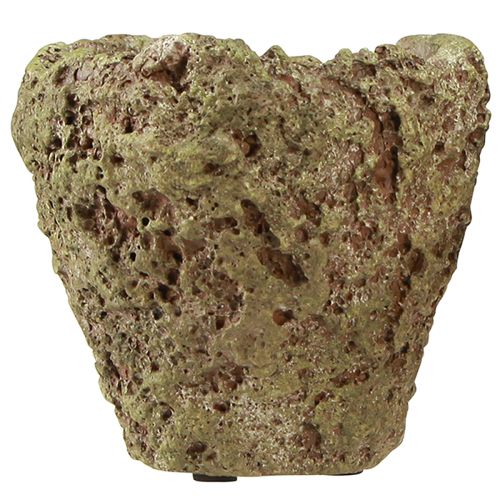 Prodotto Vaso per piante fioriera dall'aspetto rustico della foresta Ø12,5 cm A12 cm 6 pezzi