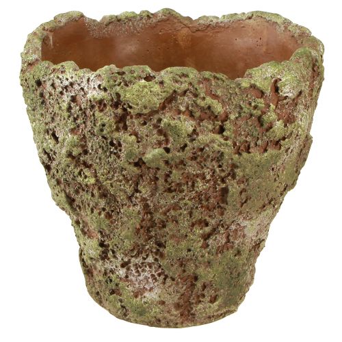 Floristik24 Vaso per piante fioriera rustica verde marrone Ø21cm H19,5cm