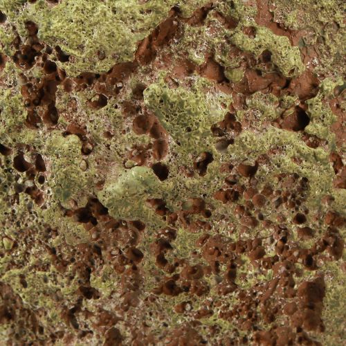 Prodotto Vaso per piante fioriera rustica verde marrone Ø21cm H19,5cm