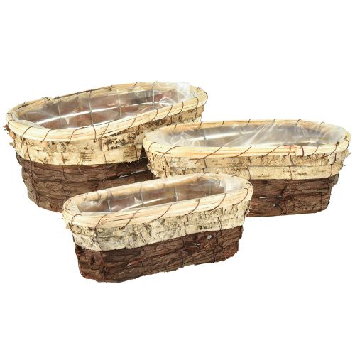 Vassoio per piante, legno naturale, 3 colori, L29,5/25/23 cm, set da 3
