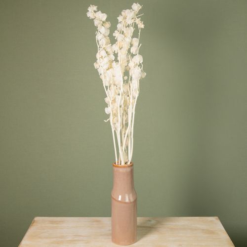 Prodotto Decorazione floreale di lanterna sbiancata e secca di Physalis Nicandra 75-80cm 100g