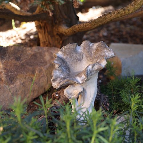 Decorazione a forma di fungo in pietra fusa, decorazione da giardino, grigia 18×16×25cm