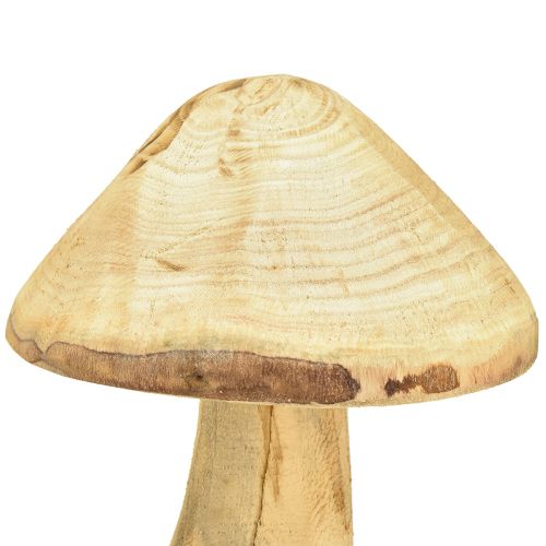 Floristik24 Fungo decorativo naturale in legno di olmo fungo di legno 27 cm