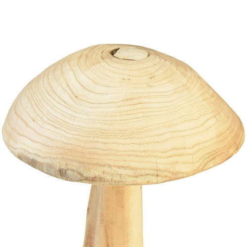 Floristik24 Scultura di fungo naturale in legno di olmo - Design rustico, 37 cm - Elegante decorazione per giardino e interni
