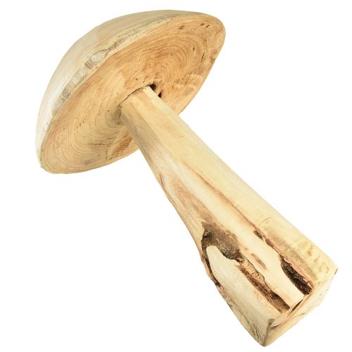 Floristik24 Scultura di fungo naturale in legno di olmo - Design rustico, 37 cm - Elegante decorazione per giardino e interni