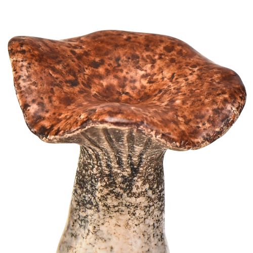 Prodotto Figure decorative di funghi ispirate alla natura - Varie tonalità di marrone, 6,4 cm - Accenti affascinanti per giardino e casa Confezione da 3