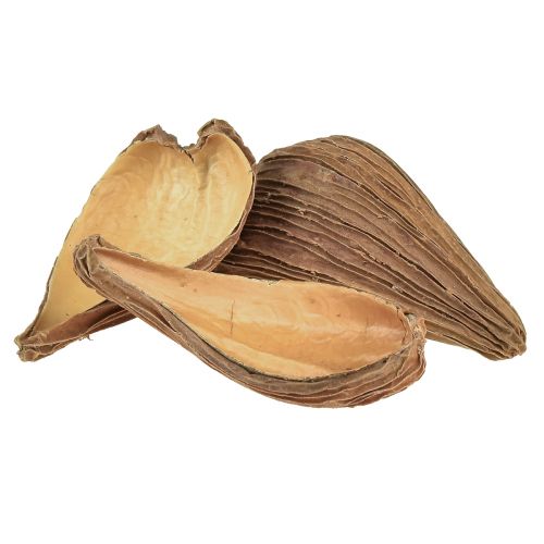 Prodotto Capsule di frutta e semi Pradeep Pods 9-12 cm naturali 50 pezzi