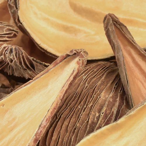 Prodotto Capsule di frutta e semi Pradeep Pods 9-12 cm naturali 50 pezzi