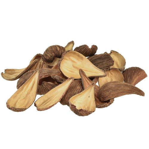 Prodotto Capsule di frutta e semi Pradeep Pods 9-12 cm naturali 50 pezzi
