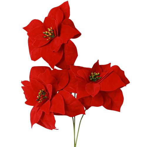 Prodotto Magnifica stella di Natale - Poinsettia in rosso - 46 cm 6 pezzi 2 mazzi