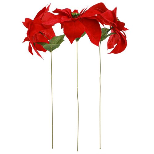 Prodotto Magnifica stella di Natale - Poinsettia in rosso - 46 cm 6 pezzi 2 mazzi