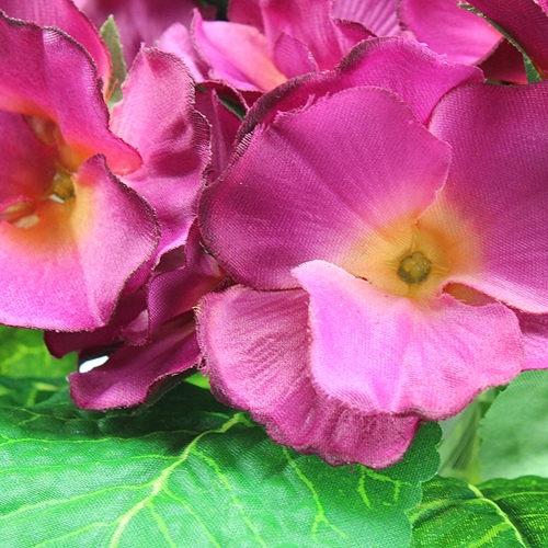 Floristik24 Fiori artificiali rosa primula