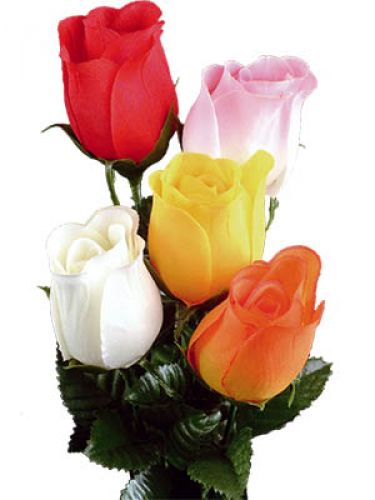 Floristik24 Color rosa 72 pz