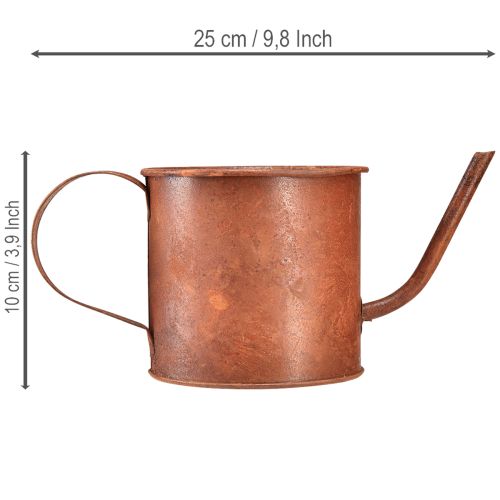 Prodotto Annaffiatoio decorativo arrugginito, mini vaso per piante, in metallo, Ø10cm, H9cm