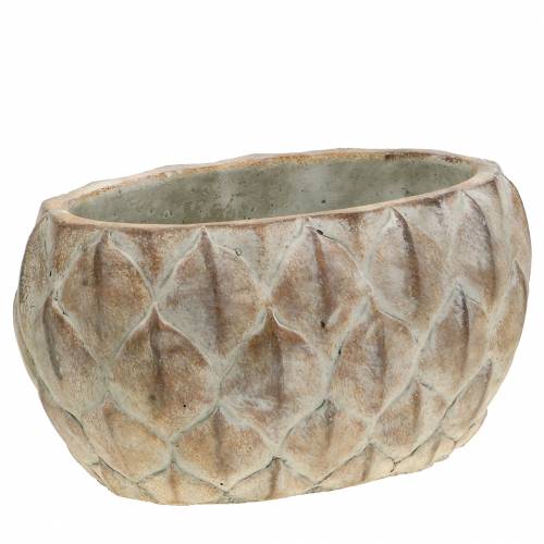 Floristik24 Portavaso in cemento motivo foglia ovale 23 cm