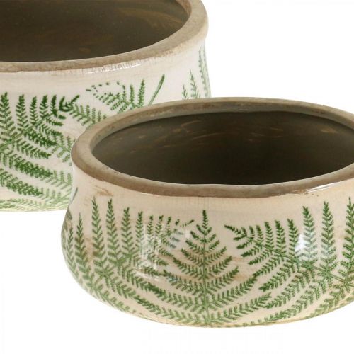 Floristik24 Vaso per piante felce fioriera in terracotta rotonda in ceramica Ø14/18cm set di 2