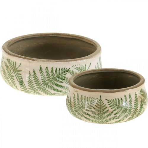 Floristik24 Vaso per piante felce fioriera in terracotta rotonda in ceramica Ø14/18cm set di 2