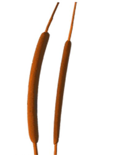 Floristik24 Lampadina Reed mini arancione 70 pz