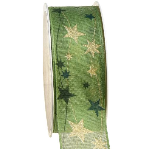 Floristik24 Nastro natalizio con stelle nastro regalo verde con bordo in filo 40mm 15m