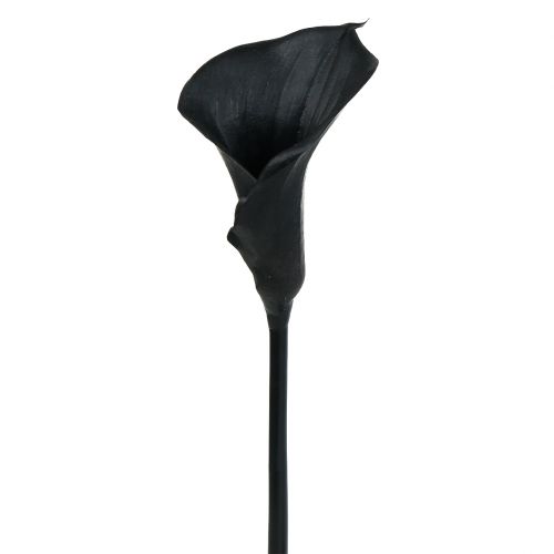 Floristik24 Deco Calla Nero 75cm