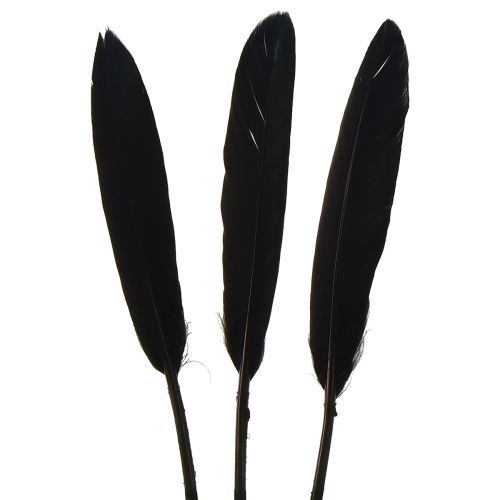 Prodotto Piume Nere Piume D&#39;oca Decorative Nere 11-14 cm 180 pz