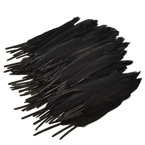 Prodotto Piume Nere Piume D&#39;oca Decorative Nere 11-14 cm 180 pz