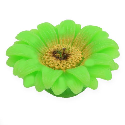 Candela galleggiante Gerbera Verde Ø7,5cm