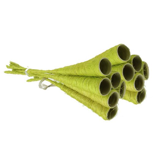 Floristik24 Imbuto sisal verde chiaro Ø3cm L30cm 12pz
