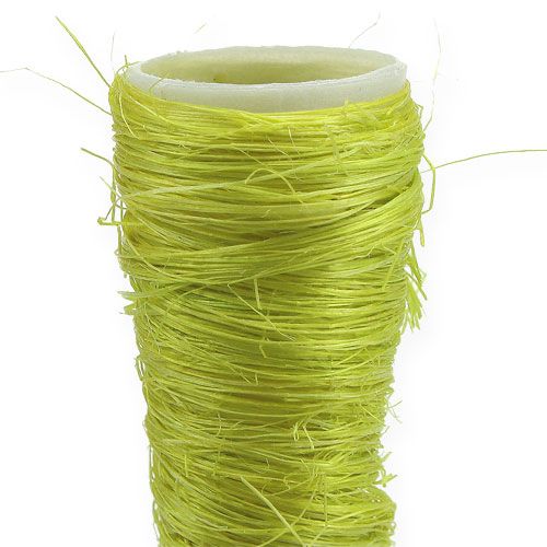 Floristik24 Imbuto sisal verde chiaro Ø3cm L30cm 12pz