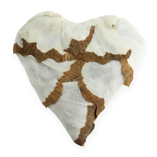 Floristik24 Sola Cuore di cavolo cappuccio 6 cm piatto 12 pz.