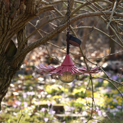 Prodotto Luce solare a LED per fiori da giardino in metallo rosa Ø30cm