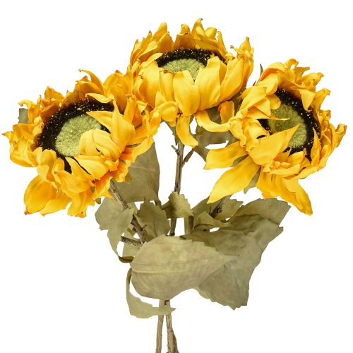 Floristik24 Girasoli artificiali, decorazione di girasoli, Drylook, L60cm, 3 pezzi