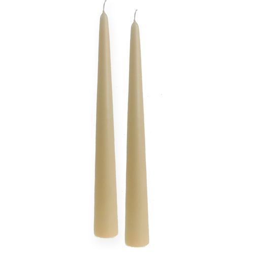 Floristik24 Candela a punta 300/40 crema 8pz