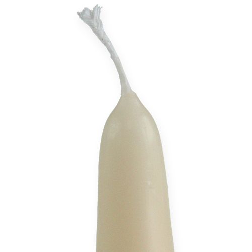 Floristik24 Candela a punta 300/40 crema 8pz