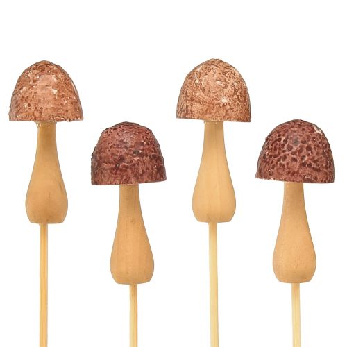 Prodotto Spina fiore fungo decorativo spina legno marrone Ø2,5 cm 8 pezzi