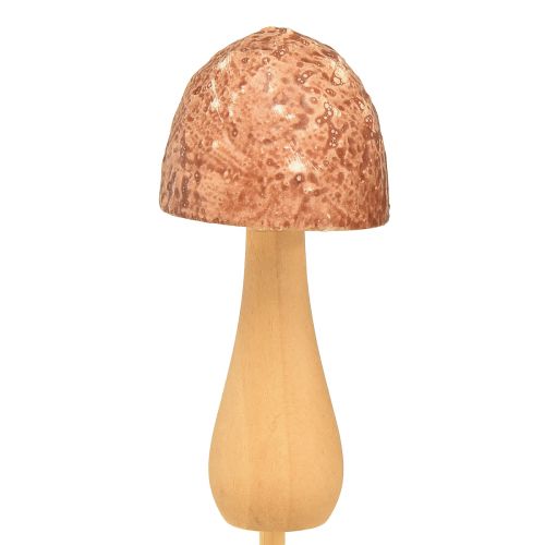 Prodotto Spina fiore fungo decorativo spina legno marrone Ø2,5 cm 8 pezzi