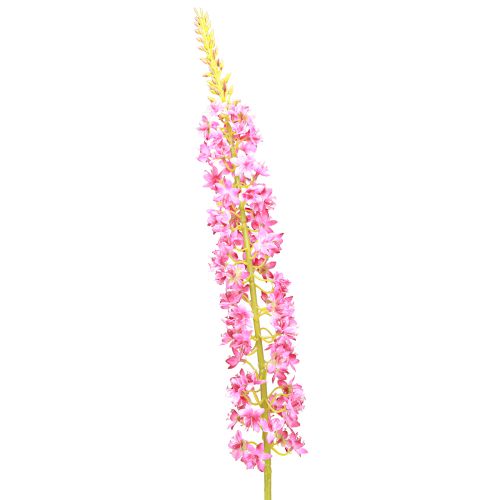 Prodotto Candela Steppe Desert Tail Rosa 106cm