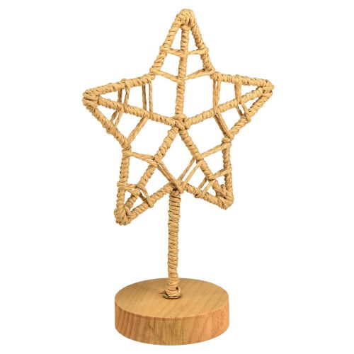 Floristik24 Decorazione stella supporto in legno metallo fibra naturale Ø15cm 2pz