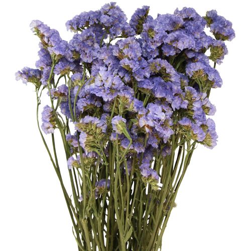Floristik24 Statice Limonium sinuatum Mare Lilla Viola Fiori Secchi 60cm 50g