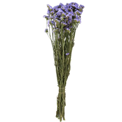 Floristik24 Statice Limonium sinuatum Mare Lilla Viola Fiori Secchi 60cm 50g