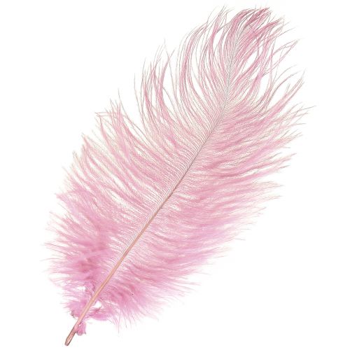 Floristik24 Decorazione Piume di Struzzo Vere Piume Rosa 20-25 cm 12 pz