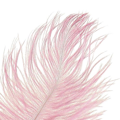 Prodotto Decorazione Piume di Struzzo Vere Piume Rosa 20-25 cm 12 pz