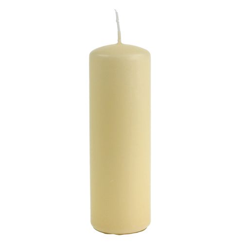 Floristik24 Candele a colonna crema Candele H145mm Ø50mm crema 12 pz