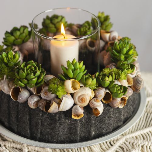 Prodotto Succulente Echeveria Pianta Verde Artificiale Verde Ø5,5 cm 12,5 cm