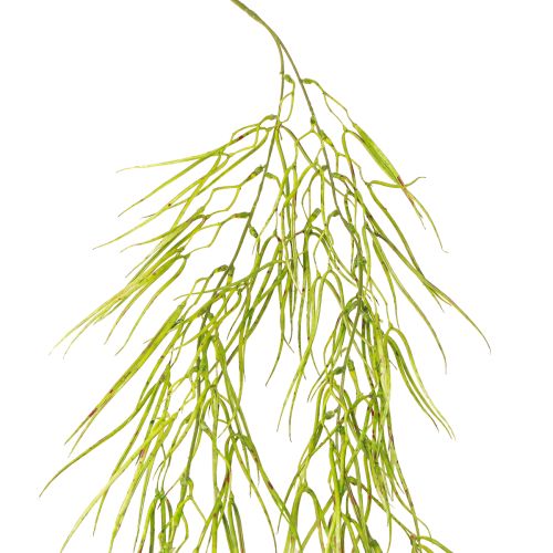 Succulenta verde pendente 145cm