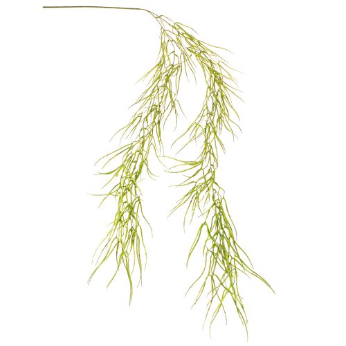 Prodotto Succulenta verde pendente 145cm