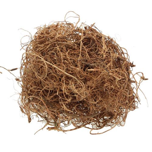 Floristik24 Fibra decorativa Fibra di tamarindo Natur materiale artigianale fibra naturale 500g