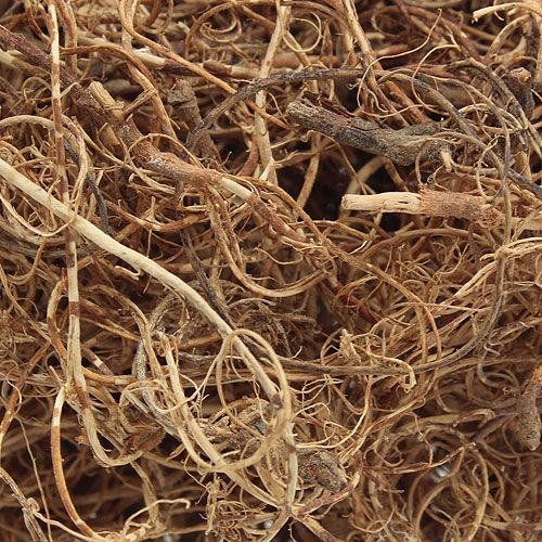 Floristik24 Fibra decorativa Fibra di tamarindo Natur materiale artigianale fibra naturale 500g